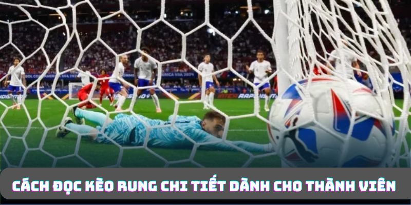 Cách đọc kèo rung chi tiết dành cho thành viên 