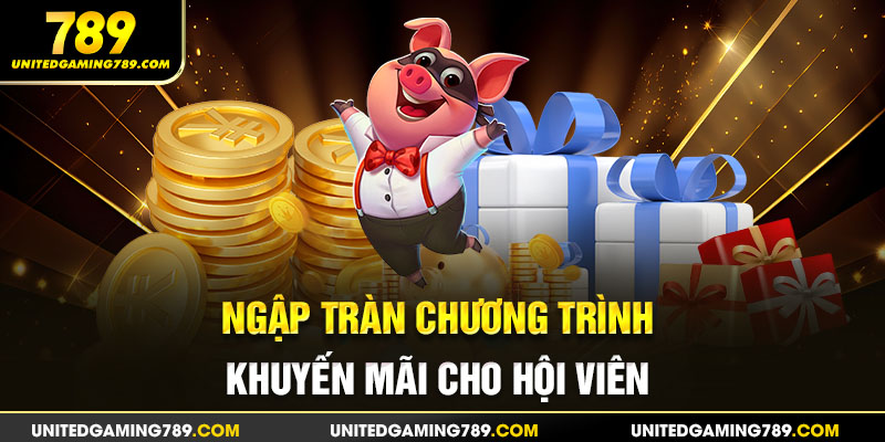 Ngập tràn chương trình khuyến mãi cho hội viên